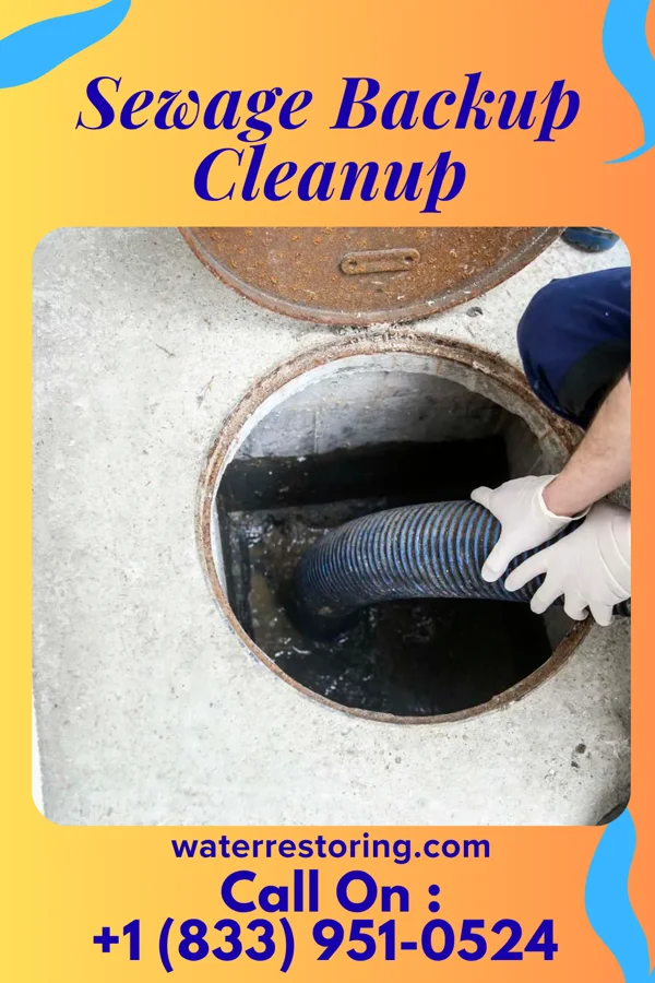 Sewage Backup Cleanup in Affton, MO